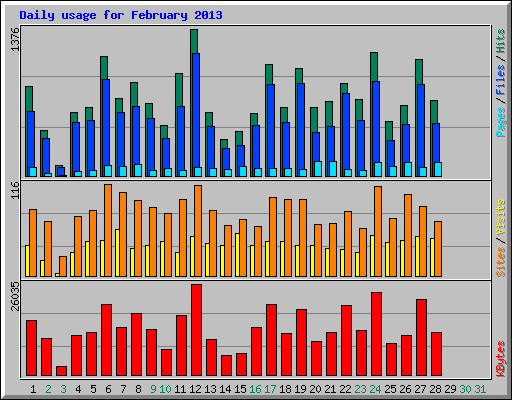 Daily usage for February 2013