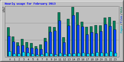 Hourly usage for February 2013